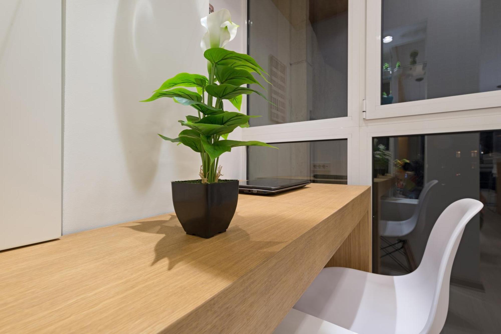 Vivio Luxury Apartment ベオグラード エクステリア 写真